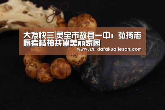 大发快三|灵宝市故县一中:弘扬志愿者精神共建美丽家园(图1) 大发快三
