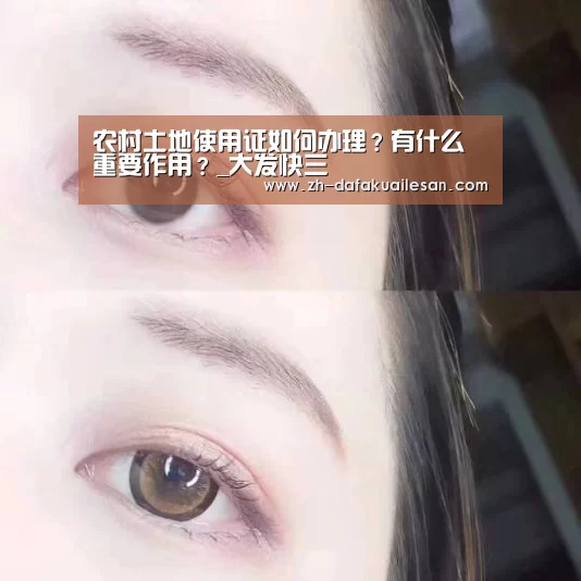 大发快三