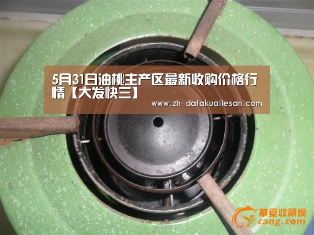 大发快三