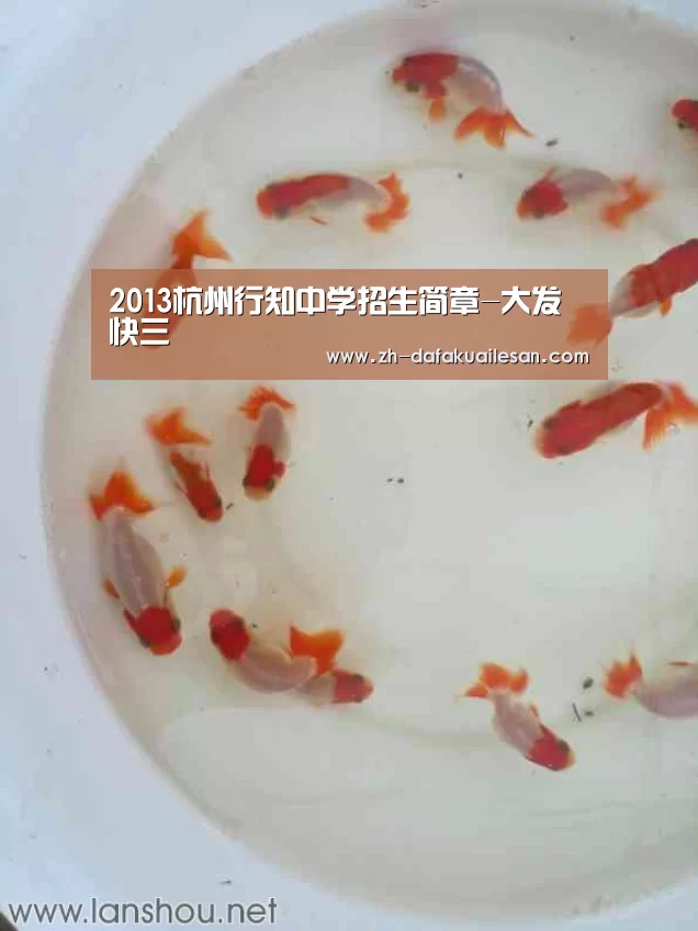 大发快三